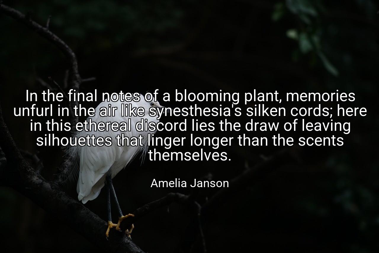 In the final notes of a blooming plant, memories unfurl in the air like synesthesia's silken cords; here in this ethereal discord lies the draw of leaving silhouettes that linger longer than the scents themselves. - Amelia Janson