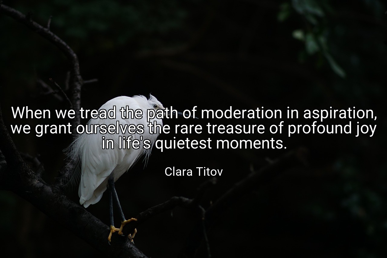 When we tread the path of moderation in aspiration, we grant ourselves the rare treasure of profound joy in life's quietest moments. - Clara Titov