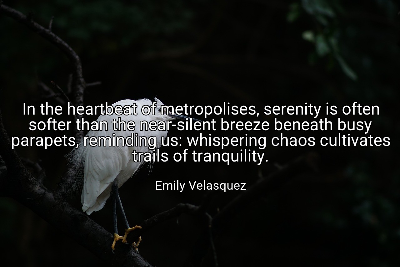 In the heartbeat of metropolises, serenity is often softer than the near-silent breeze beneath busy parapets, reminding us: whispering chaos cultivates trails of tranquility. - Emily Velasquez