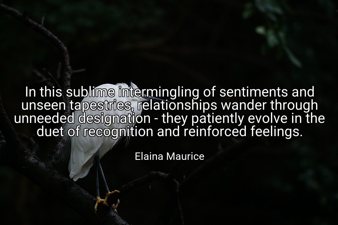 In this sublime intermingling of sentiments and unseen tapestries, relationships wander through unneeded designation - they patiently evolve in the duet of recognition and reinforced feelings. - Elaina Maurice