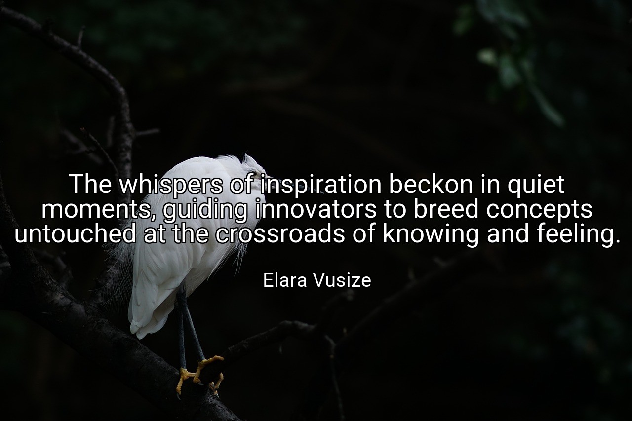 The whispers of inspiration beckon in quiet moments, guiding innovators to breed concepts untouched at the crossroads of knowing and feeling. - Elara Vusize