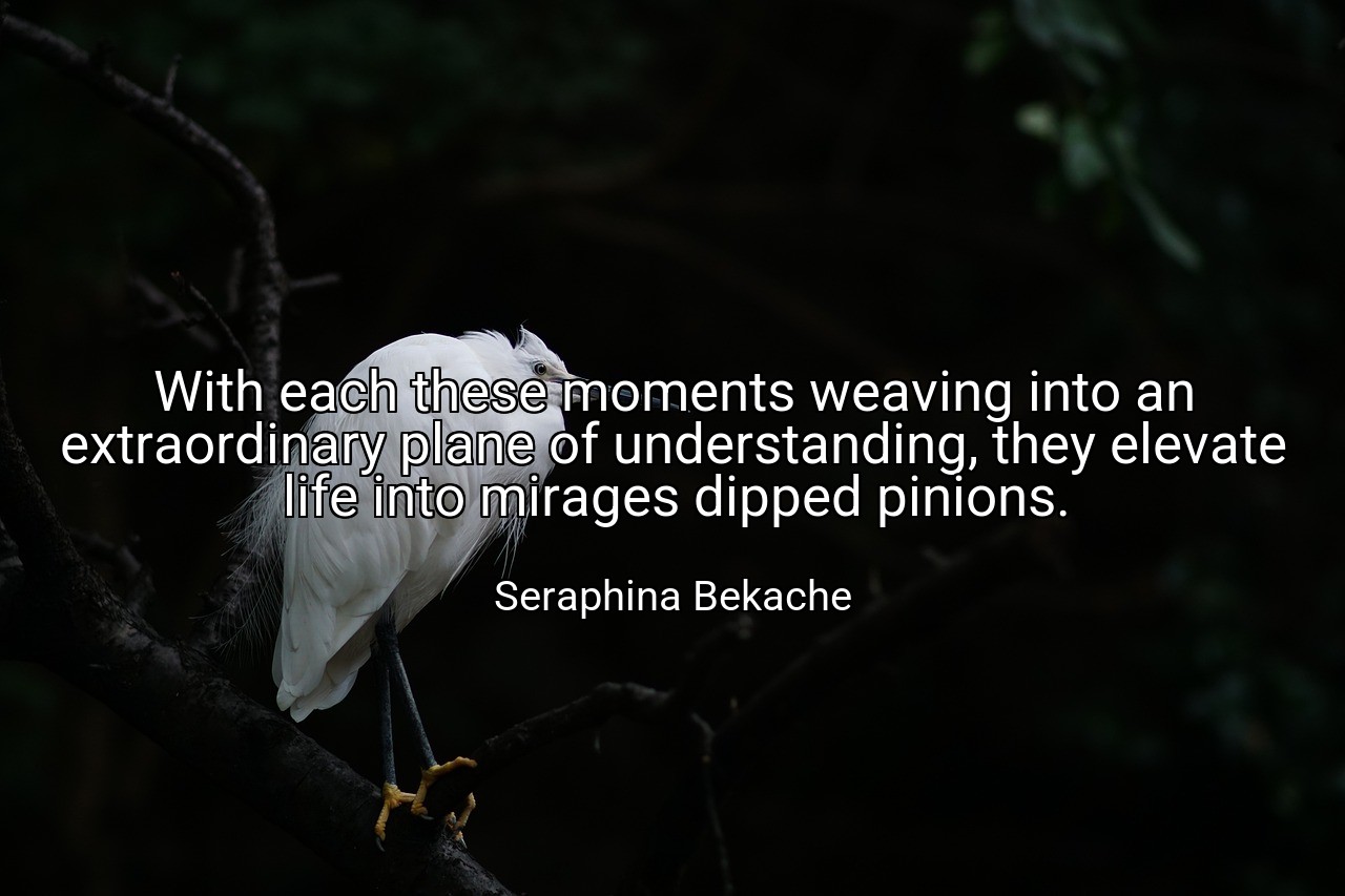 With each these moments weaving into an extraordinary plane of understanding, they elevate life into mirages dipped pinions. - Seraphina Bekache