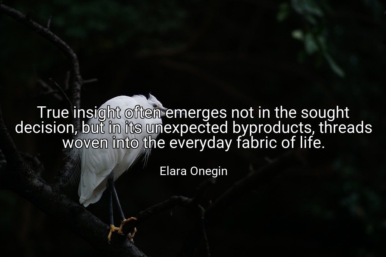 True insight often emerges not in the sought decision, but in its unexpected byproducts, threads woven into the everyday fabric of life. - Elara Onegin