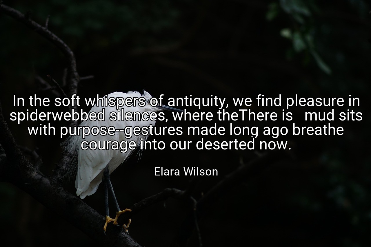 In the soft whispers of antiquity, we find pleasure in spiderwebbed silences, where theThere is   mud sits with purpose--gestures made long ago breathe courage into our deserted now. - Elara Wilson
