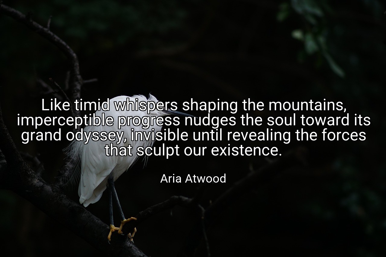 Like timid whispers shaping the mountains, imperceptible progress nudges the soul toward its grand odyssey, invisible until revealing the forces that sculpt our existence. - Aria Atwood