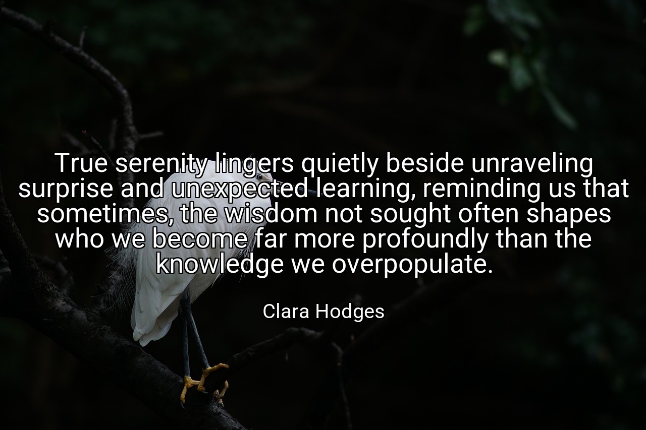 True serenity lingers quietly beside unraveling surprise and unexpected learning, reminding us that sometimes, the wisdom not sought often shapes who we become far more profoundly than the knowledge we overpopulate. - Clara Hodges
