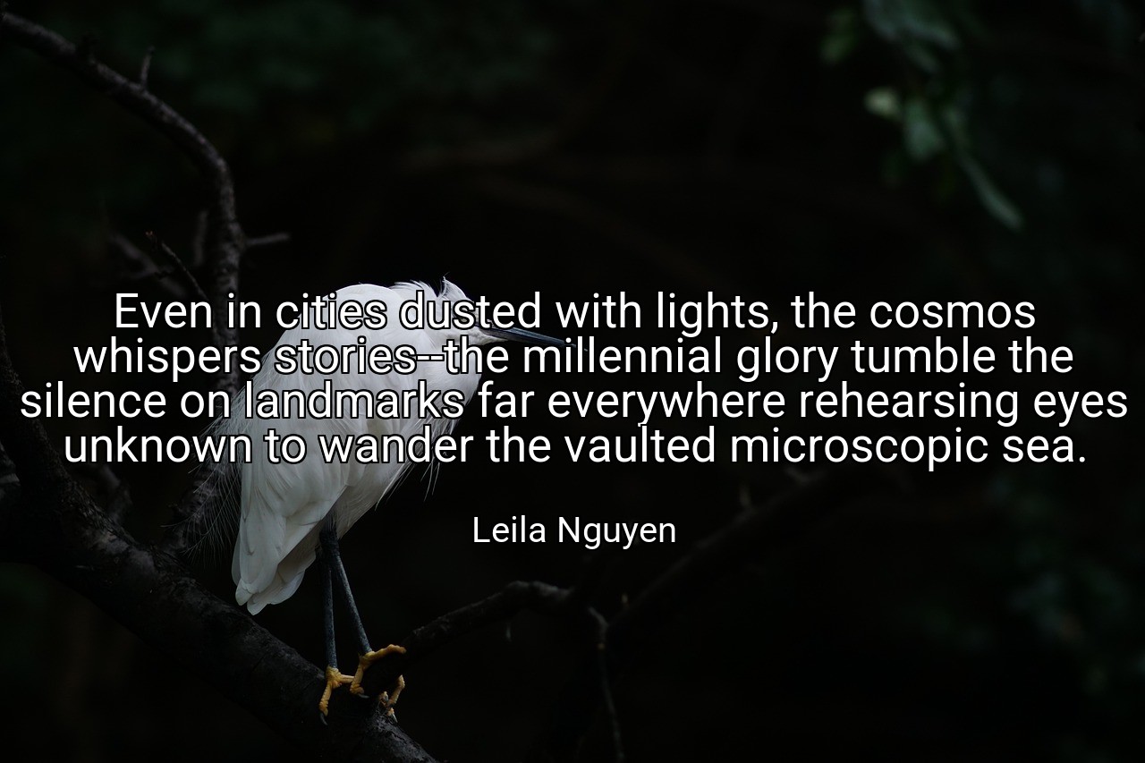 Even in cities dusted with lights, the cosmos whispers stories--the millennial glory tumble the silence on landmarks far everywhere rehearsing eyes unknown to wander the vaulted microscopic sea. - Leila Nguyen