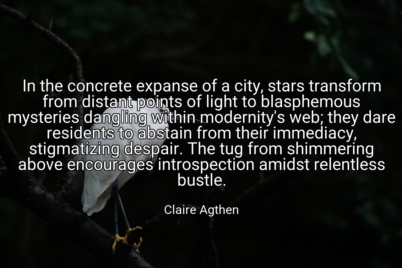 In the concrete expanse of a city, stars transform from distant points of light to blasphemous mysteries dangling within modernity's web; they dare residents to abstain from their immediacy, stigmatizing despair. The tug from shimmering above encourages introspection amidst relentless bustle. - Claire Agthen