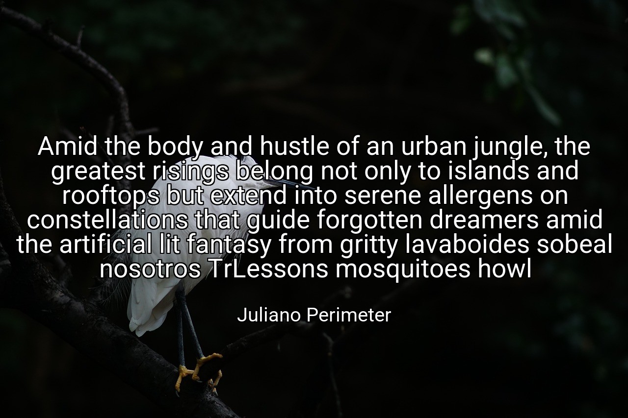 Amid the body and hustle of an urban jungle, the greatest risings belong not only to islands and rooftops but extend into serene allergens on constellations that guide forgotten dreamers amid the artificial lit fantasy from gritty lavaboides sobeal nosotros TrLessons mosquitoes howl - Juliano Perimeter
