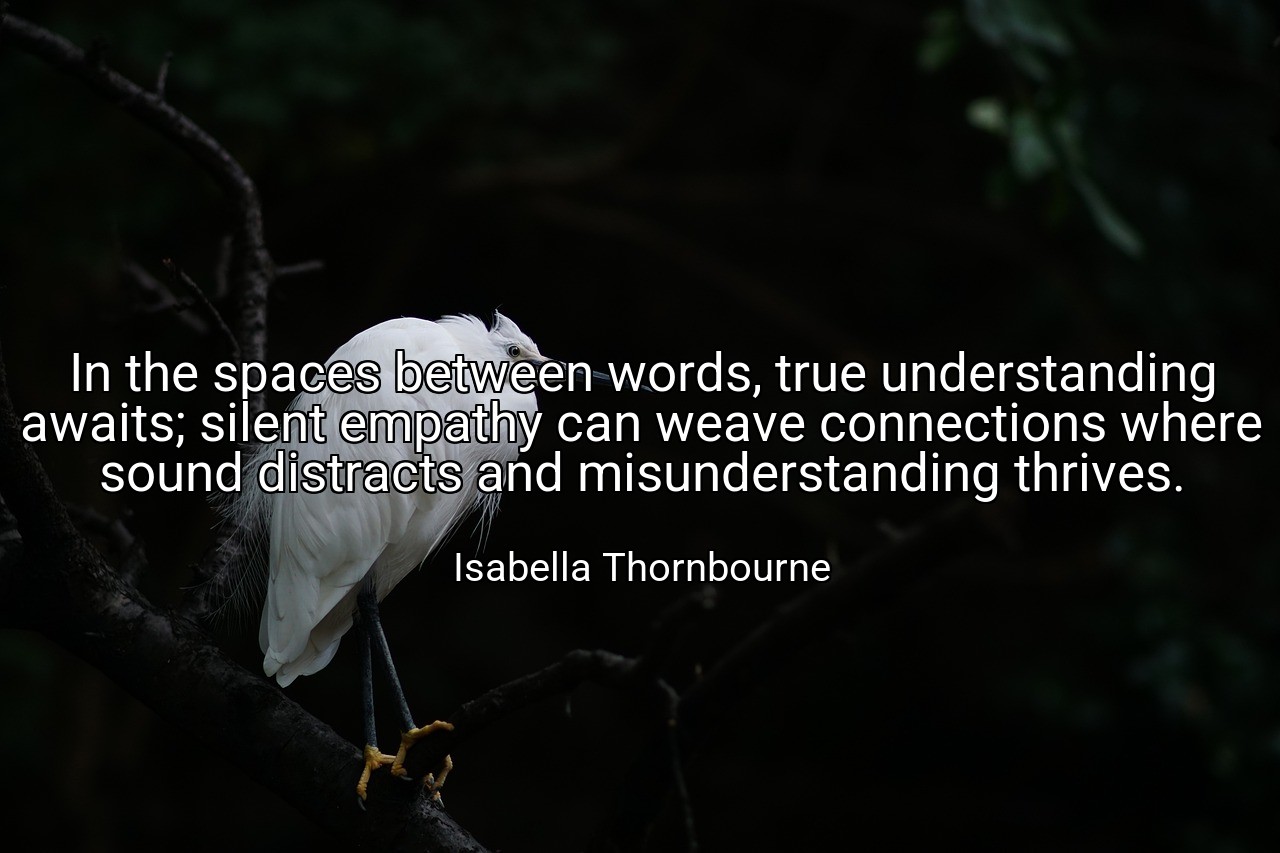 In the spaces between words, true understanding awaits; silent empathy can weave connections where sound distracts and misunderstanding thrives. - Isabella Thornbourne