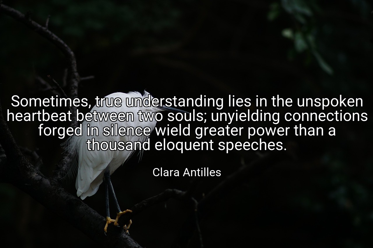 Sometimes, true understanding lies in the unspoken heartbeat between two souls; unyielding connections forged in silence wield greater power than a thousand eloquent speeches. - Clara Antilles