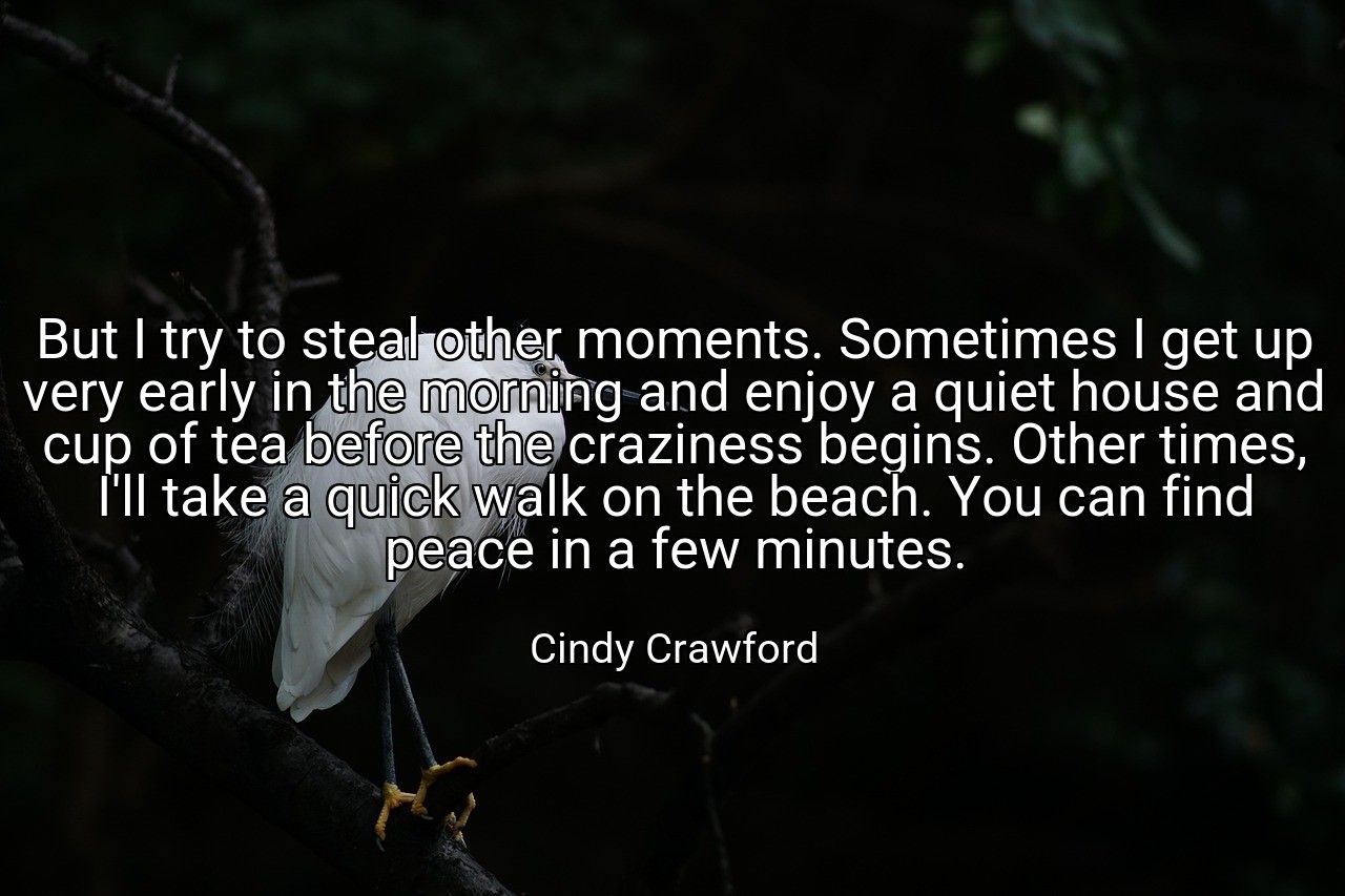 But I try to steal other moments. Sometimes I get up very early in the morning and enjoy a quiet house and cup of tea before the craziness begins. Other times, I'll take a quick walk on the beach. You can find peace in a few minutes. - Cindy Crawford