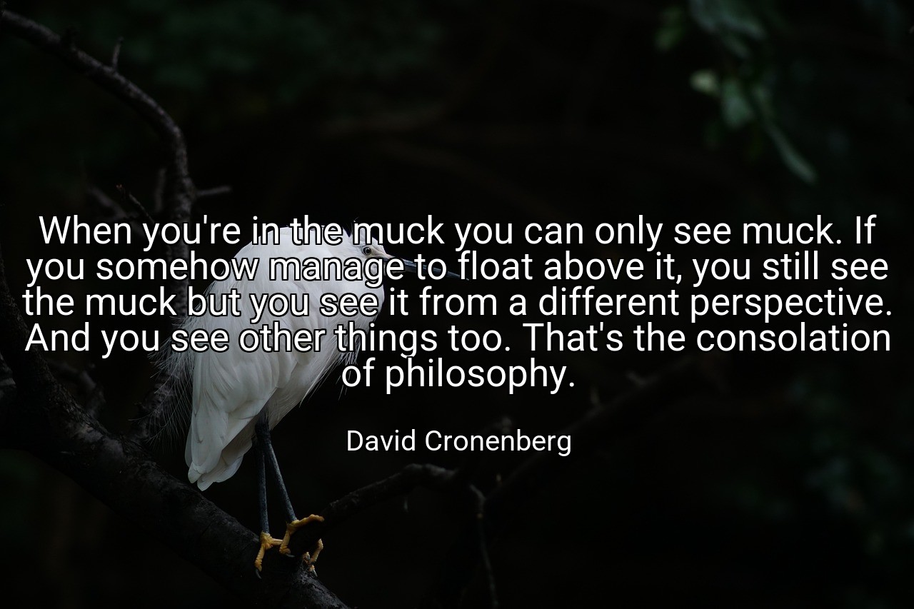 When you're in the muck you can only see muck. If you somehow manage to float above it, you still see the muck but you see it from a different perspective. And you see other things too. That's the consolation of philosophy. - David Cronenberg