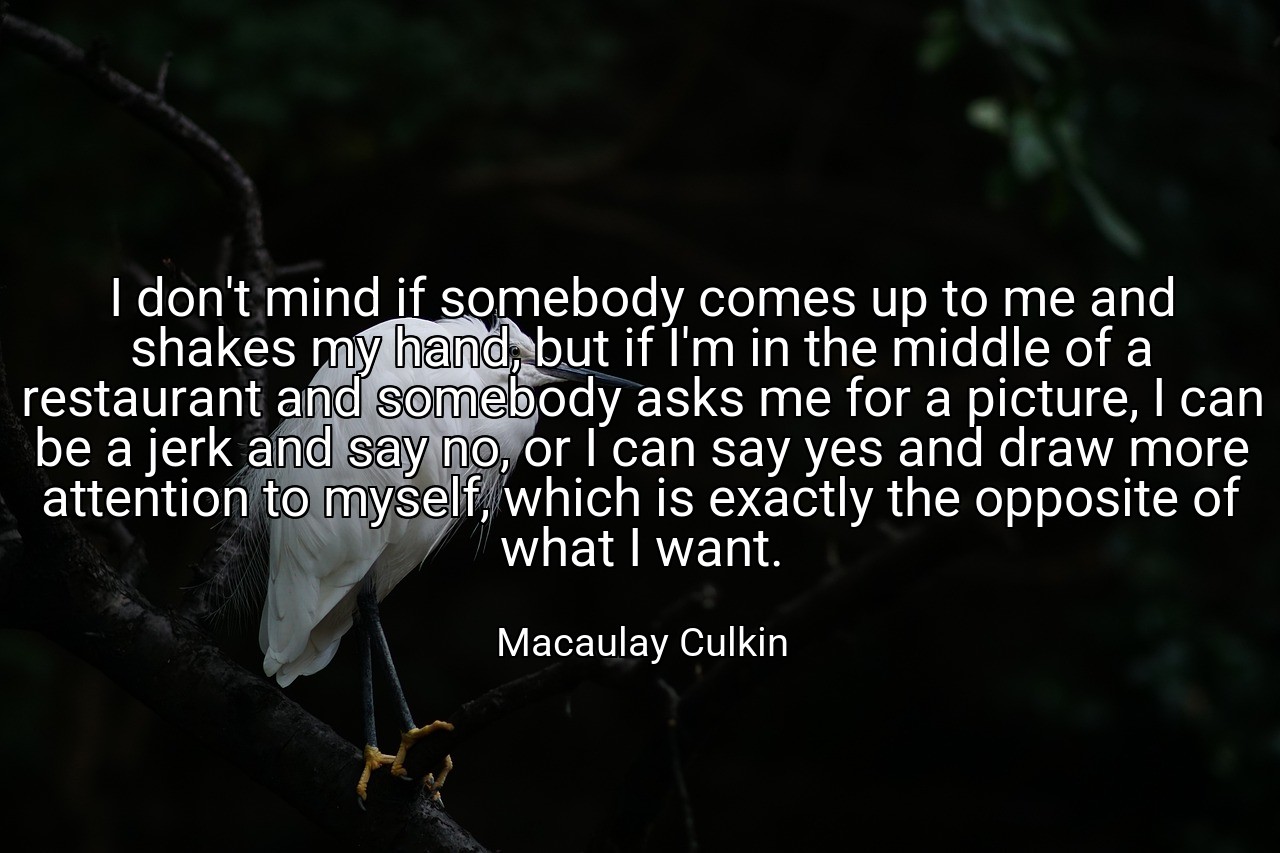 I don't mind if somebody comes up to me and shakes my hand, but if I'm in the middle of a restaurant and somebody asks me for a picture, I can be a jerk and say no, or I can say yes and draw more attention to myself, which is exactly the opposite of what I want. - Macaulay Culkin