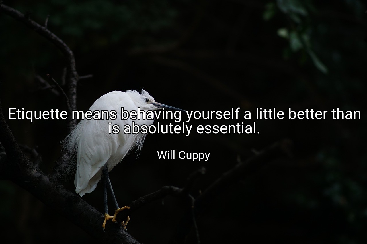 Etiquette means behaving yourself a little better than is absolutely essential. - Will Cuppy