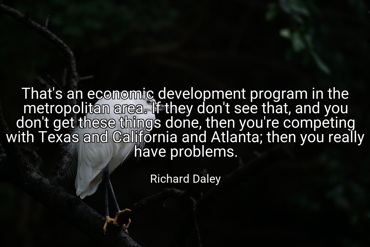 That's an economic development program in the metropolitan area. If they don't see that, and you don't get these things done, then you're competing with Texas and California and Atlanta; then you really have problems. - Richard Daley