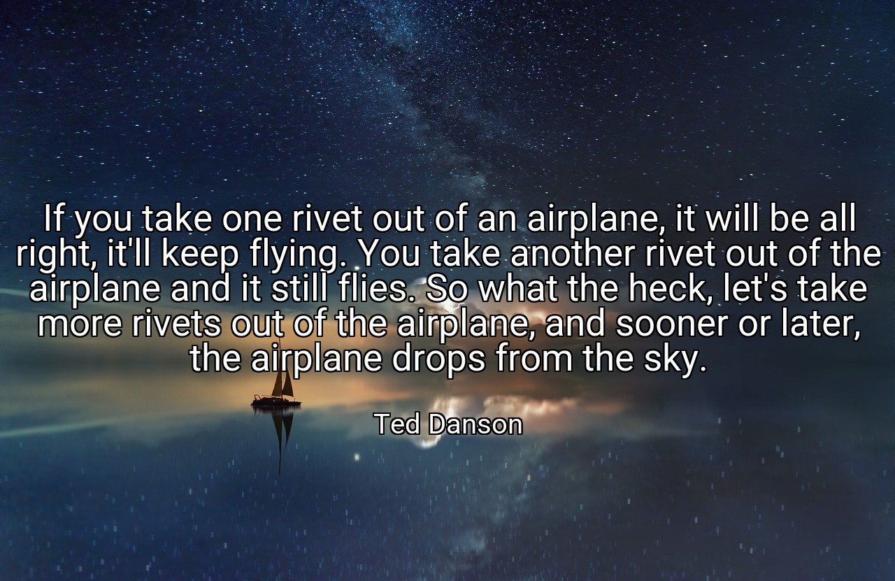 If you take one rivet out of an airplane, it will be all right, it'll keep flying. You take another rivet out of the airplane and it still flies. So what the heck, let's take more rivets out of the airplane, and sooner or later, the airplane drops from the sky. - Ted Danson