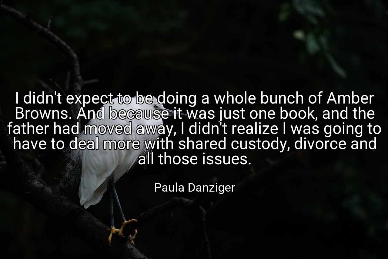 I didn't expect to be doing a whole bunch of Amber Browns. And because it was just one book, and the father had moved away, I didn't realize I was going to have to deal more with shared custody, divorce and all those issues. - Paula Danziger