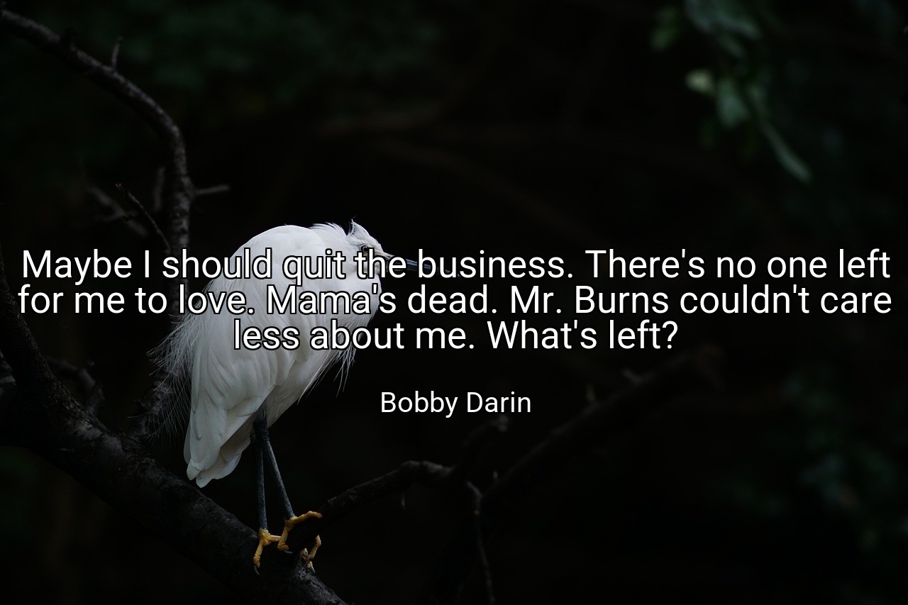Maybe I should quit the business. There's no one left for me to love. Mama's dead. Mr. Burns couldn't care less about me. What's left? - Bobby Darin