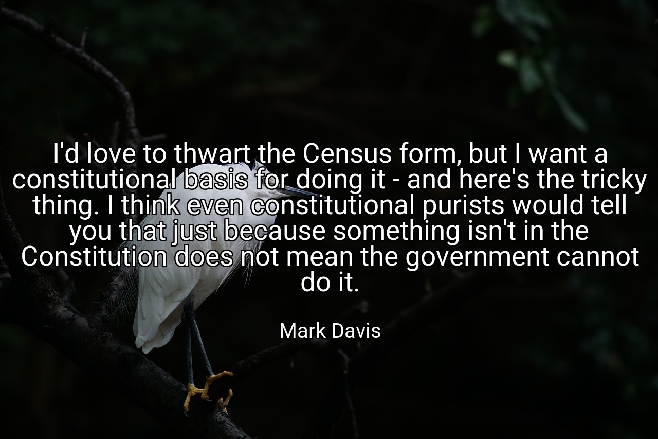 I'd love to thwart the Census form, but I want a constitutional basis for doing it - and here's the tricky thing. I think even constitutional purists would tell you that just because something isn't in the Constitution does not mean the government cannot do it. - Mark Davis
