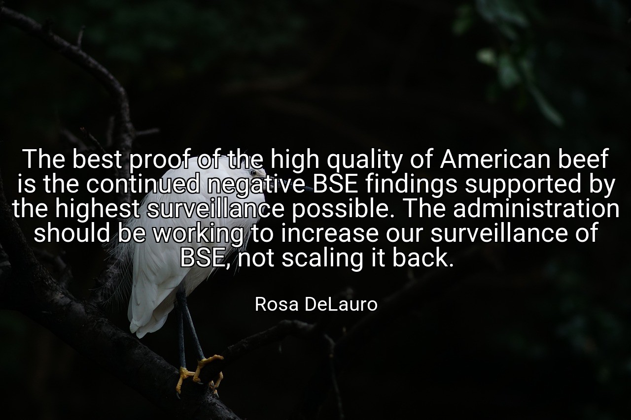 The best proof of the high quality of American beef is the continued negative BSE findings supported by the highest surveillance possible. The administration should be working to increase our surveillance of BSE, not scaling it back. - Rosa DeLauro
