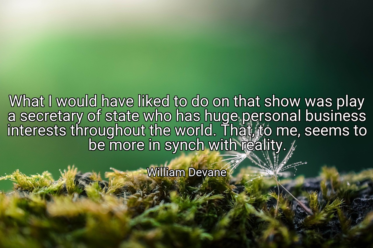 What I would have liked to do on that show was play a secretary of state who has huge personal business interests throughout the world. That, to me, seems to be more in synch with reality. - William Devane