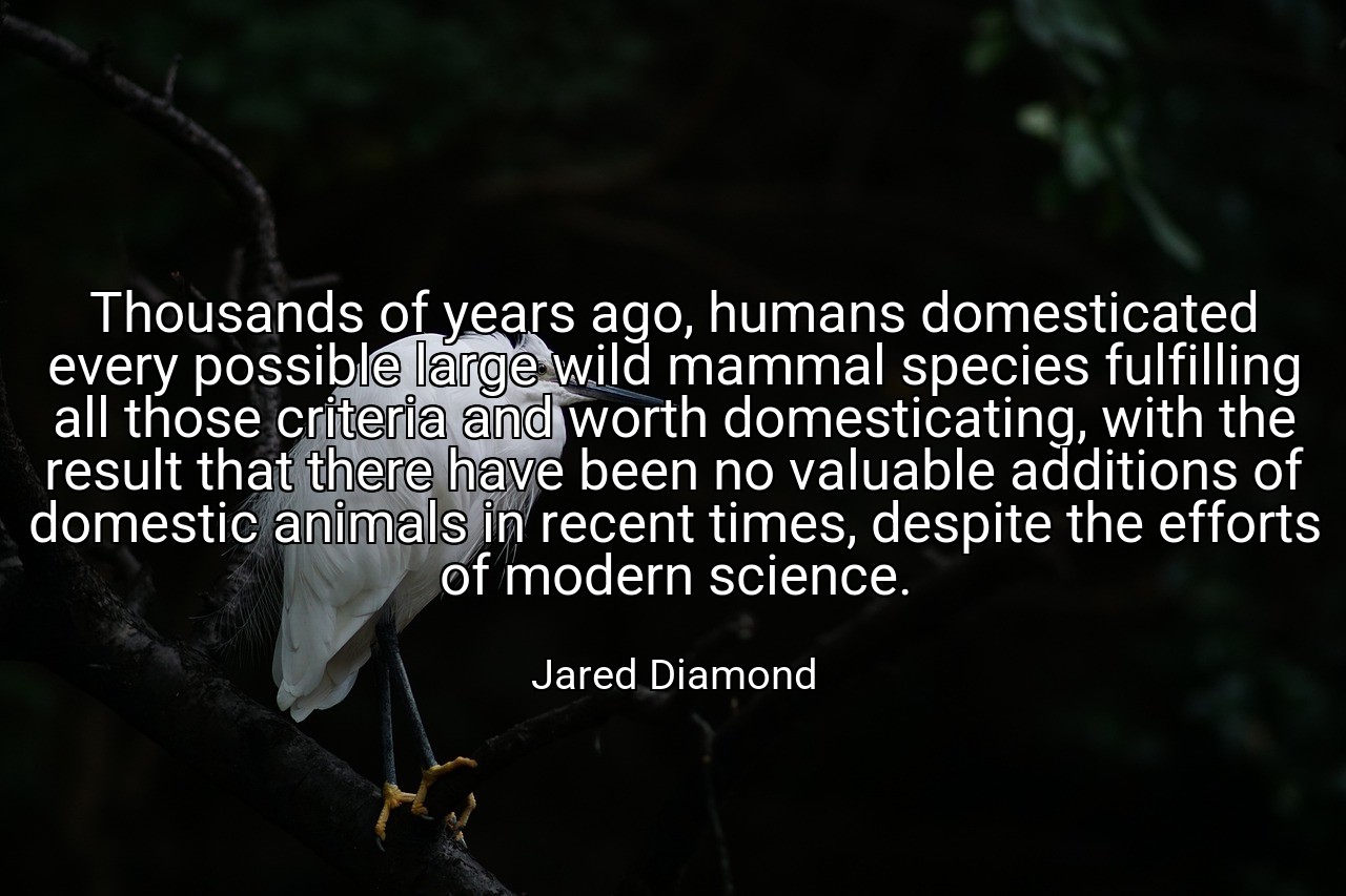 Thousands of years ago, humans domesticated every possible large wild mammal species fulfilling all those criteria and worth domesticating, with the result that there have been no valuable additions of domestic animals in recent times, despite the efforts of modern science. - Jared Diamond