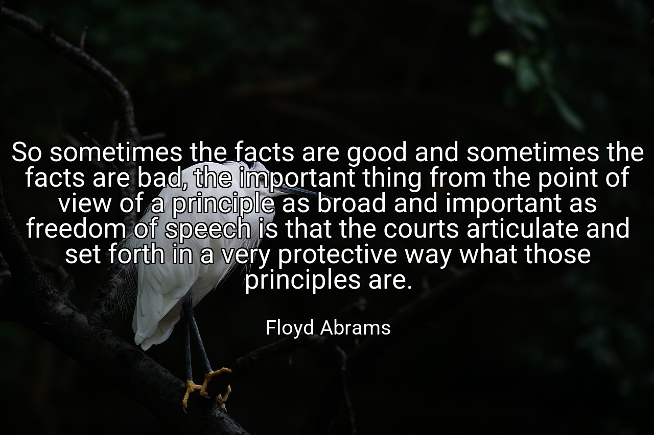 So sometimes the facts are good and sometimes the facts are bad, the important thing from the point of view of a principle as broad and important as freedom of speech is that the courts articulate and set forth in a very protective way what those principles are. - Floyd Abrams
