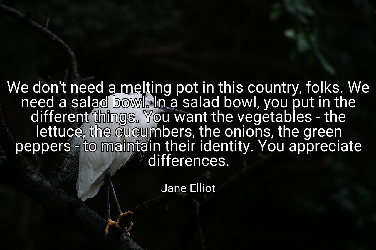 We don't need a melting pot in this country, folks. We need a salad bowl. In a salad bowl, you put in the different things. You want the vegetables - the lettuce, the cucumbers, the onions, the green peppers - to maintain their identity. You appreciate differences. - Jane Elliot