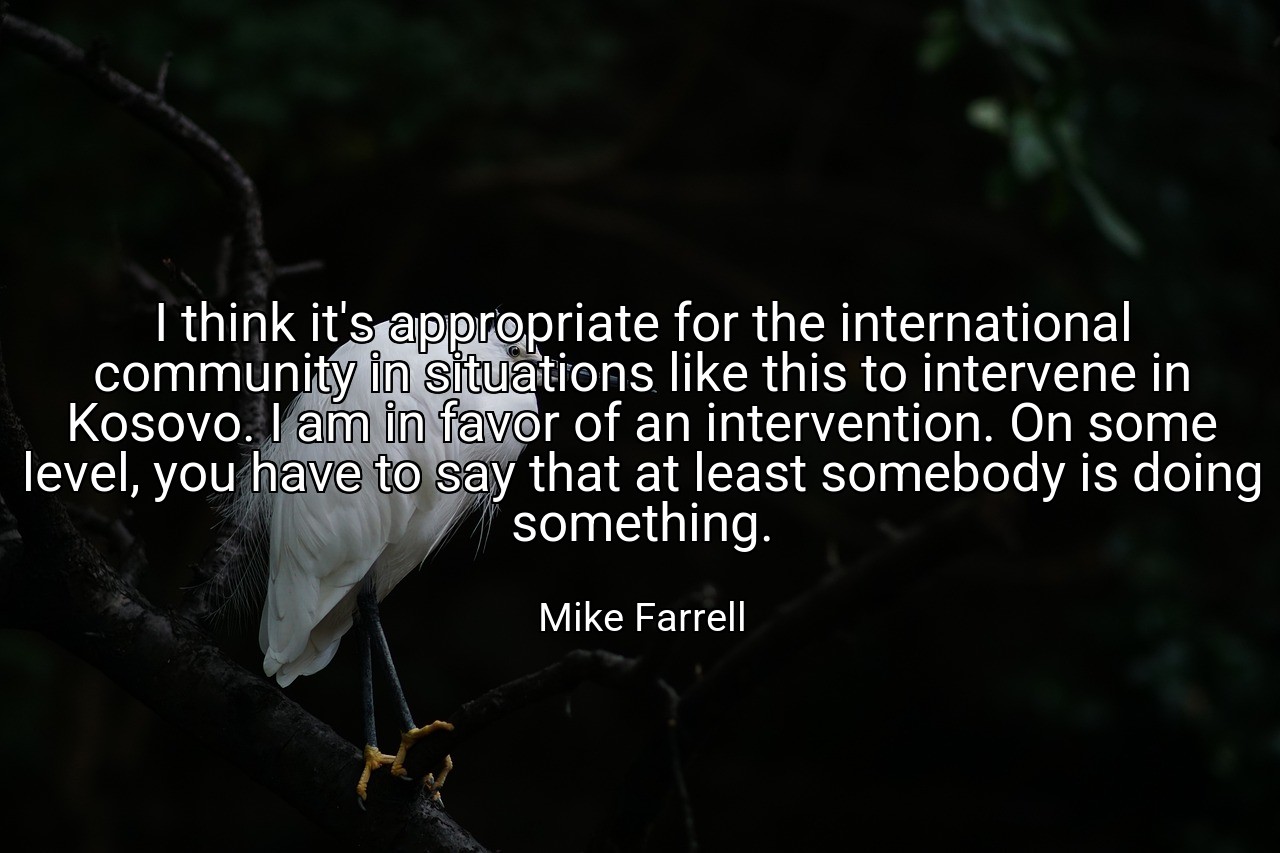 I think it's appropriate for the international community in situations like this to intervene in Kosovo. I am in favor of an intervention. On some level, you have to say that at least somebody is doing something. - Mike Farrell
