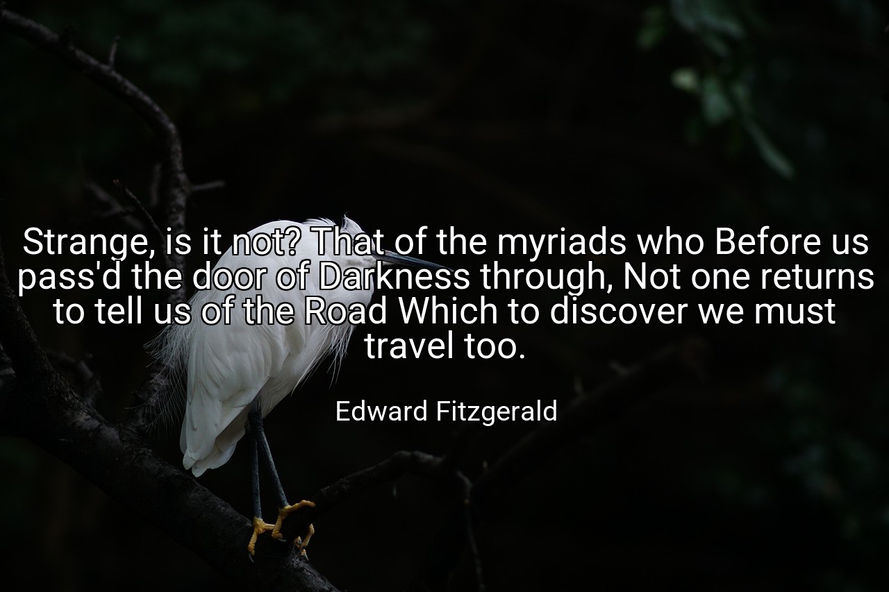 Strange, is it not? That of the myriads who Before us pass'd the door of Darkness through, Not one returns to tell us of the Road Which to discover we must travel too. - Edward Fitzgerald