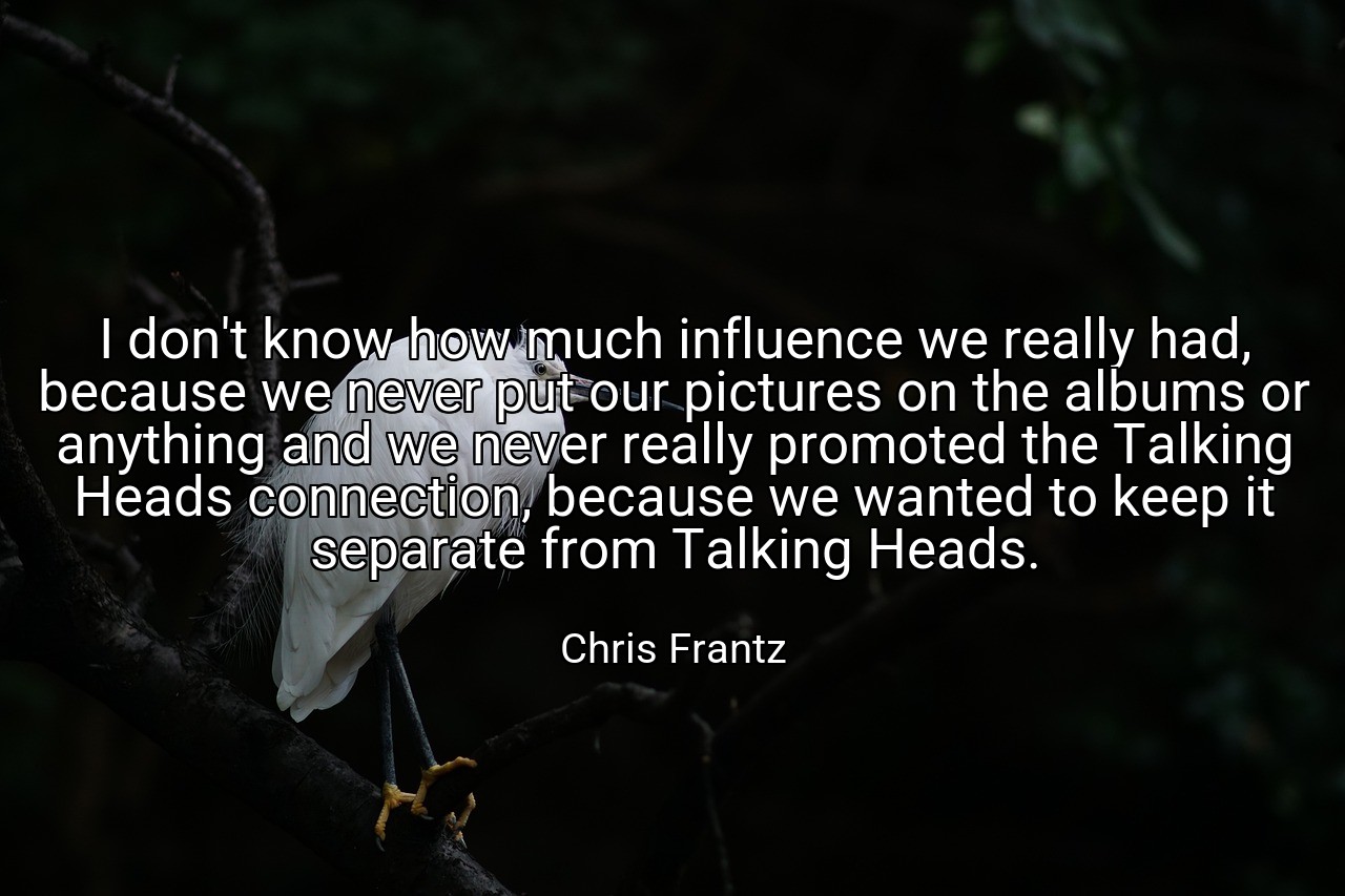 I don't know how much influence we really had, because we never put our pictures on the albums or anything and we never really promoted the Talking Heads connection, because we wanted to keep it separate from Talking Heads. - Chris Frantz