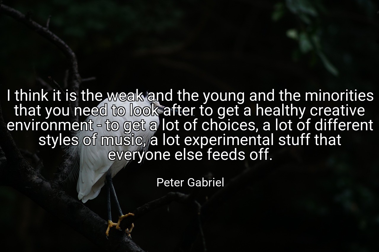 I think it is the weak and the young and the minorities that you need to look after to get a healthy creative environment - to get a lot of choices, a lot of different styles of music, a lot experimental stuff that everyone else feeds off. - Peter Gabriel