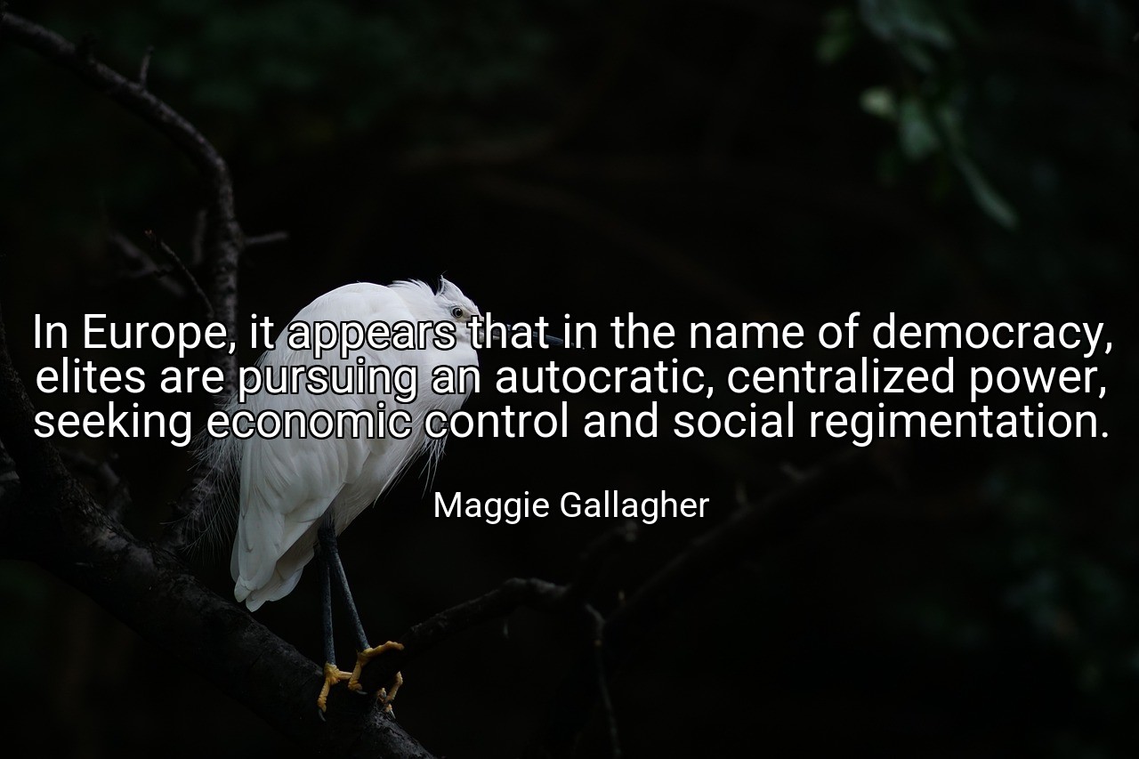 In Europe, it appears that in the name of democracy, elites are pursuing an autocratic, centralized power, seeking economic control and social regimentation. - Maggie Gallagher