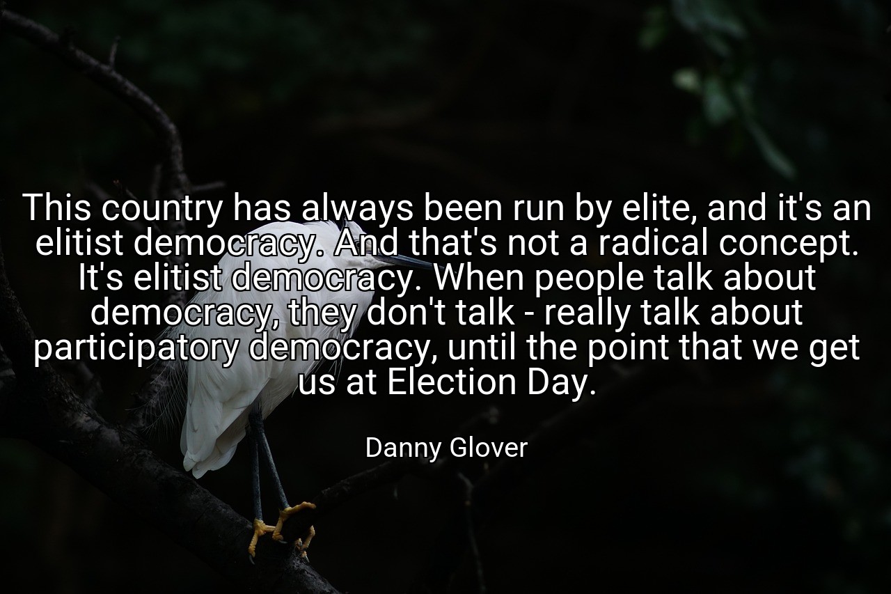 This country has always been run by elite, and it's an elitist democracy. And that's not a radical concept. It's elitist democracy. When people talk about democracy, they don't talk - really talk about participatory democracy, until the point that we get us at Election Day. - Danny Glover