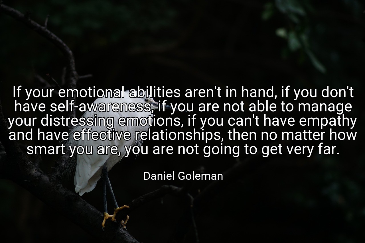 If your emotional abilities aren't in hand, if you don't have self-awareness, if you are not able to manage your distressing emotions, if you can't have empathy and have effective relationships, then no matter how smart you are, you are not going to get very far. - Daniel Goleman