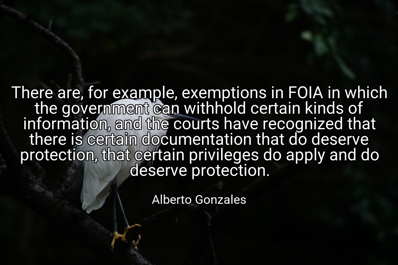 There are, for example, exemptions in FOIA in which the government can withhold certain kinds of information, and the courts have recognized that there is certain documentation that do deserve protection, that certain privileges do apply and do deserve protection. - Alberto Gonzales