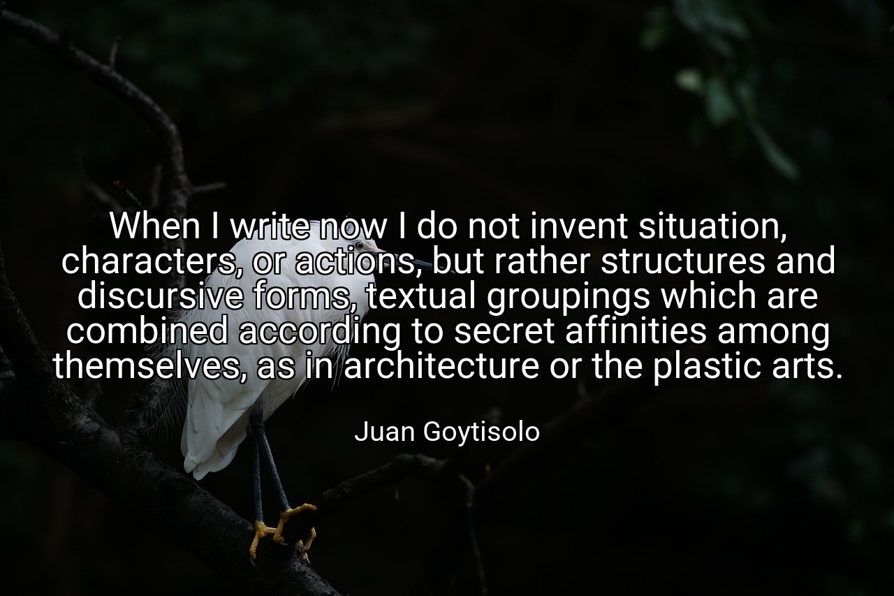 When I write now I do not invent situation, characters, or actions, but rather structures and discursive forms, textual groupings which are combined according to secret affinities among themselves, as in architecture or the plastic arts. - Juan Goytisolo