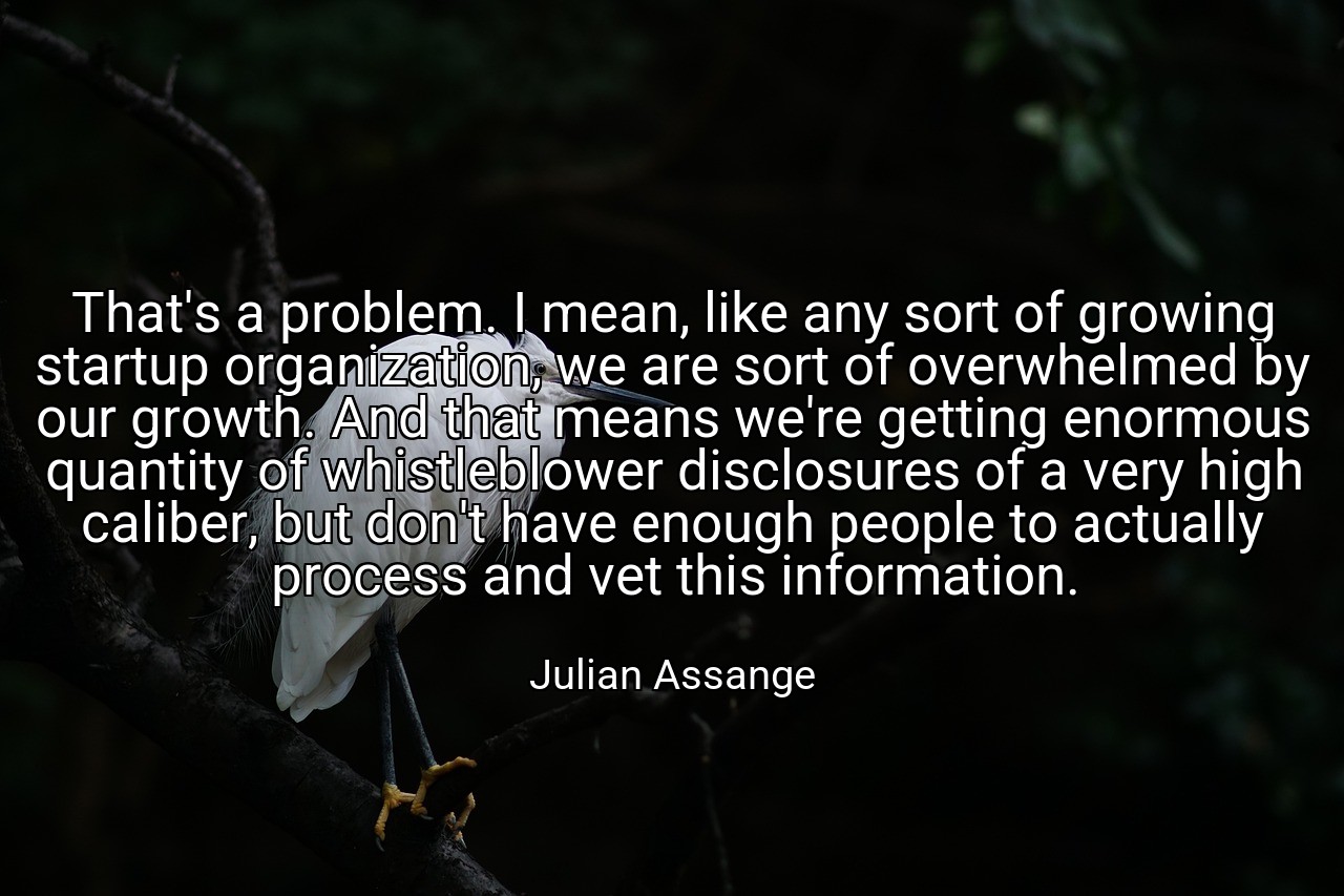 That's a problem. I mean, like any sort of growing startup organization, we are sort of overwhelmed by our growth. And that means we're getting enormous quantity of whistleblower disclosures of a very high caliber, but don't have enough people to actually process and vet this information. - Julian Assange