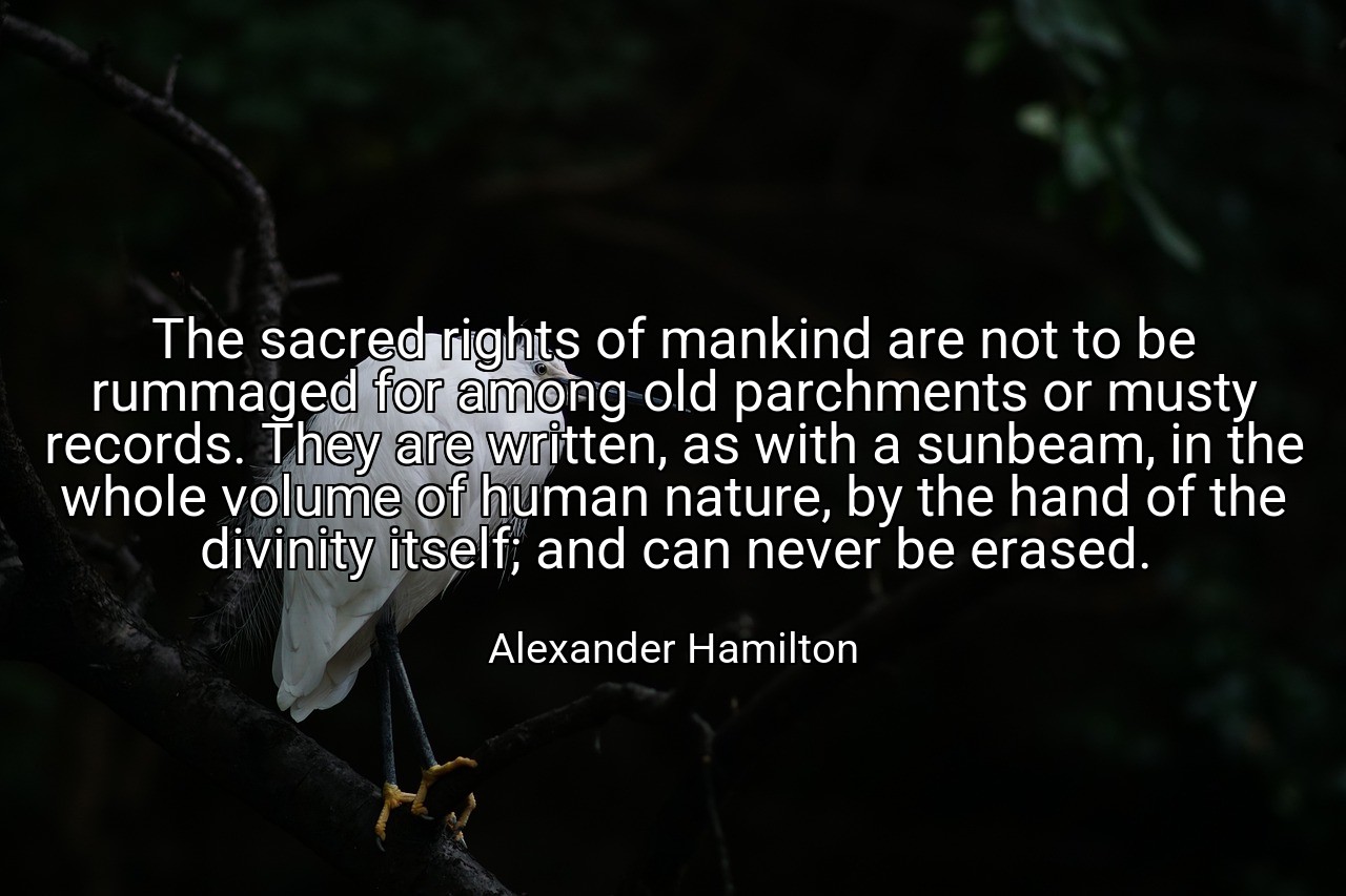 The sacred rights of mankind are not to be rummaged for among old parchments or musty records. They are written, as with a sunbeam, in the whole volume of human nature, by the hand of the divinity itself; and can never be erased. - Alexander Hamilton