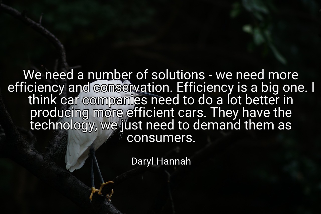 We need a number of solutions - we need more efficiency and conservation. Efficiency is a big one. I think car companies need to do a lot better in producing more efficient cars. They have the technology, we just need to demand them as consumers. - Daryl Hannah