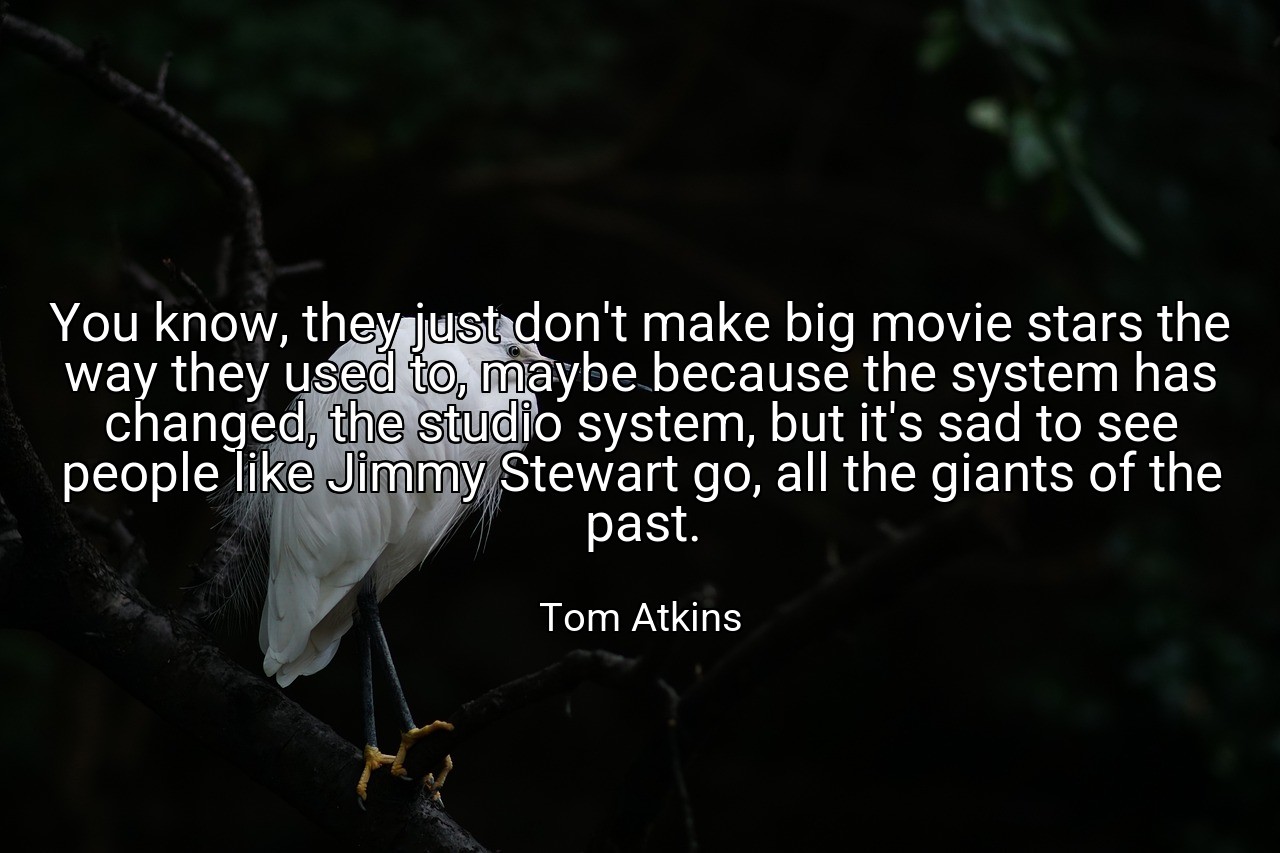 You know, they just don't make big movie stars the way they used to, maybe because the system has changed, the studio system, but it's sad to see people like Jimmy Stewart go, all the giants of the past. - Tom Atkins