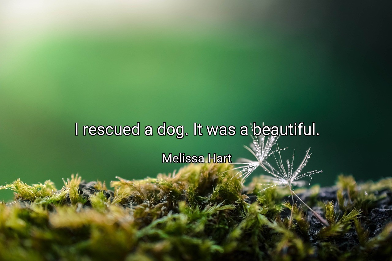 I rescued a dog. It was a beautiful. - Melissa Hart