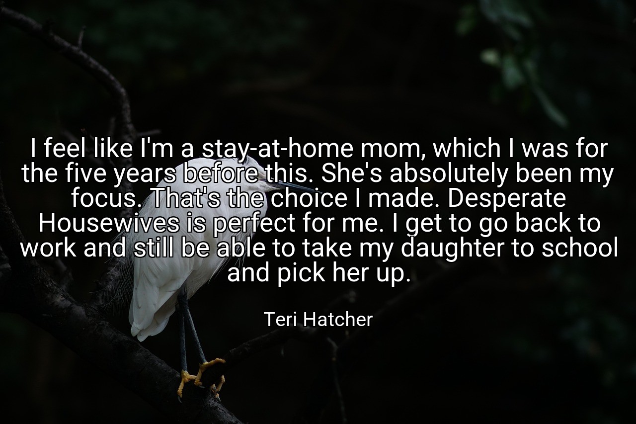 I feel like I'm a stay-at-home mom, which I was for the five years before this. She's absolutely been my focus. That's the choice I made. Desperate Housewives is perfect for me. I get to go back to work and still be able to take my daughter to school and pick her up. - Teri Hatcher