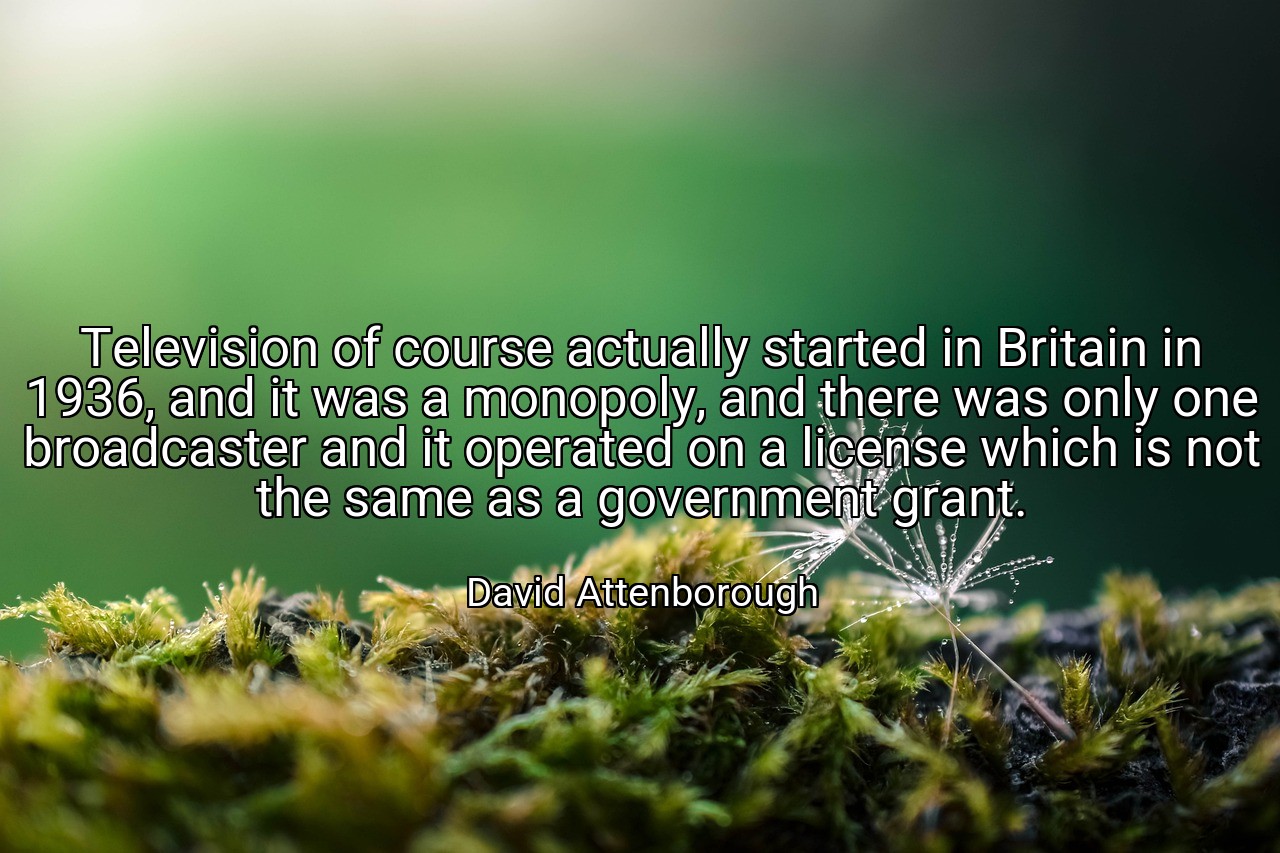 Television of course actually started in Britain in 1936, and it was a monopoly, and there was only one broadcaster and it operated on a license which is not the same as a government grant. - David Attenborough