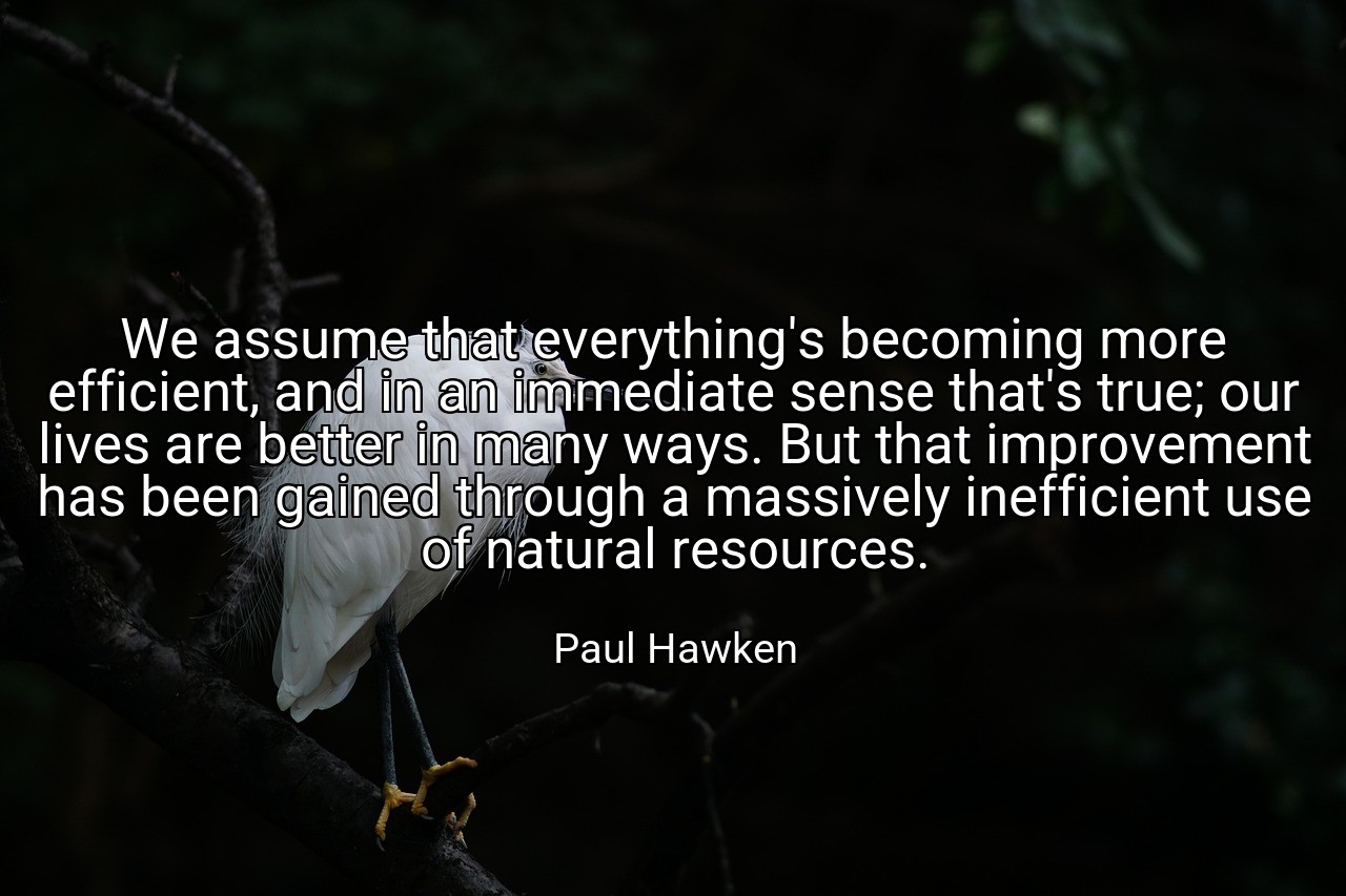 We assume that everything's becoming more efficient, and in an immediate sense that's true; our lives are better in many ways. But that improvement has been gained through a massively inefficient use of natural resources. - Paul Hawken