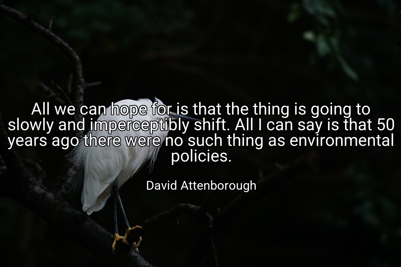All we can hope for is that the thing is going to slowly and imperceptibly shift. All I can say is that 50 years ago there were no such thing as environmental policies. - David Attenborough