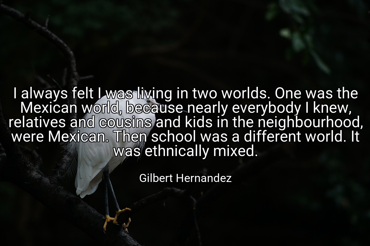 I always felt I was living in two worlds. One was the Mexican world, because nearly everybody I knew, relatives and cousins and kids in the neighbourhood, were Mexican. Then school was a different world. It was ethnically mixed. - Gilbert Hernandez