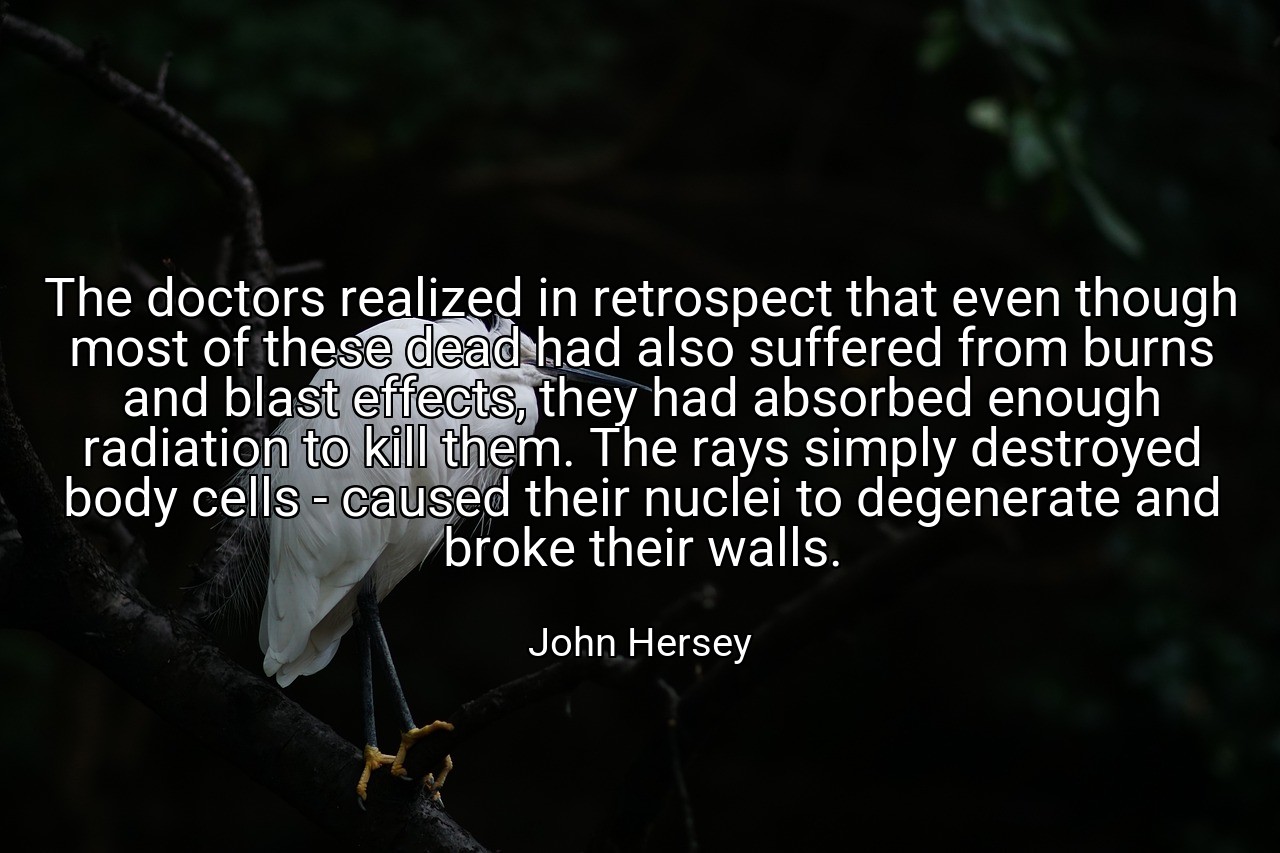 The doctors realized in retrospect that even though most of these dead had also suffered from burns and blast effects, they had absorbed enough radiation to kill them. The rays simply destroyed body cells - caused their nuclei to degenerate and broke their walls. - John Hersey