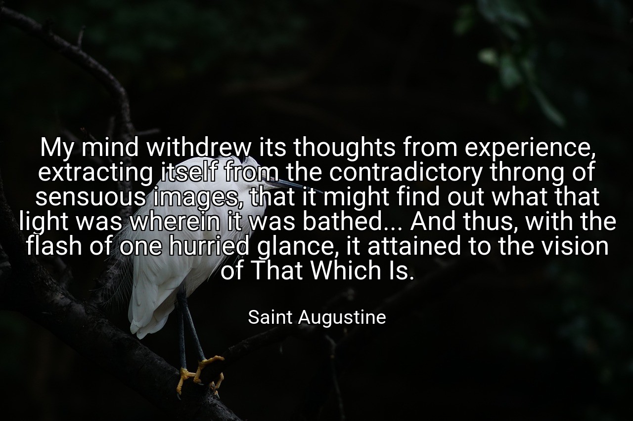 My mind withdrew its thoughts from experience, extracting itself from the contradictory throng of sensuous images, that it might find out what that light was wherein it was bathed... And thus, with the flash of one hurried glance, it attained to the vision of That Which Is. - Saint Augustine